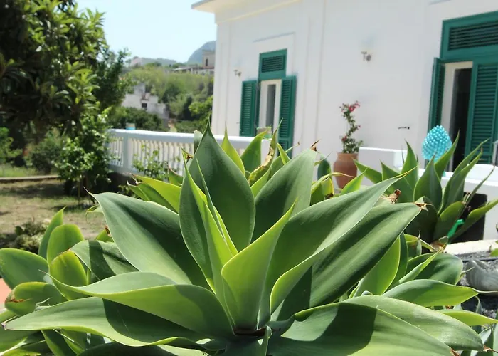 La Casa Bianca